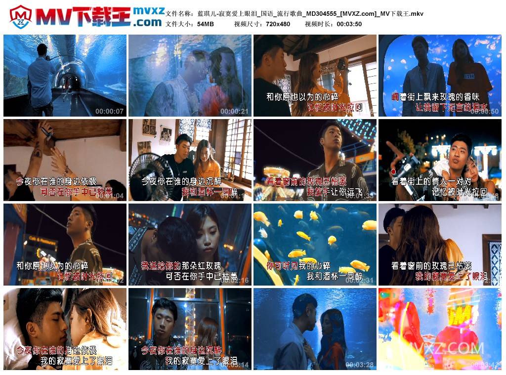 蓝琪儿-寂寞爱上眼泪_国语_流行歌曲_MD304555